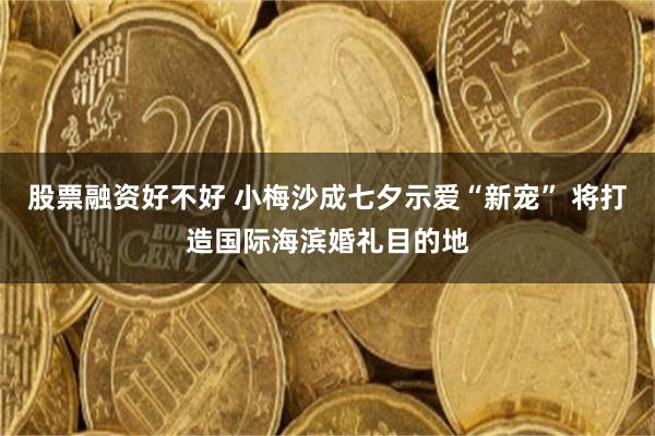 股票融资好不好 小梅沙成七夕示爱“新宠” 将打造国际海滨婚礼目的地