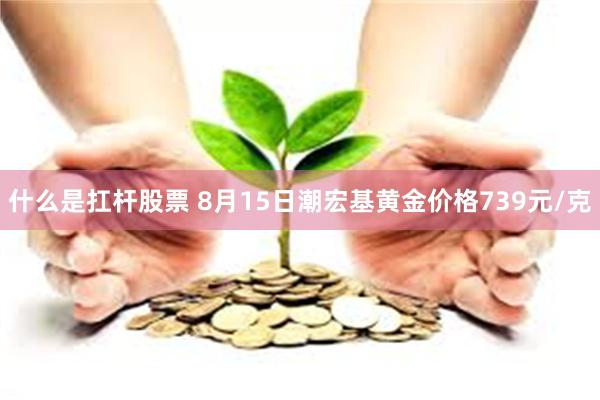 什么是扛杆股票 8月15日潮宏基黄金价格739元/克