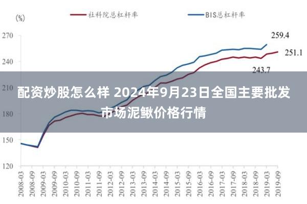 配资炒股怎么样 2024年9月23日全国主要批发市场泥鳅价格行情