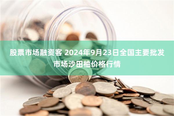 股票市场融资客 2024年9月23日全国主要批发市场沙田柚价格行情