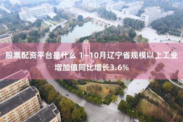 股票配资平台是什么 1—10月辽宁省规模以上工业增加值同比增长3.6%