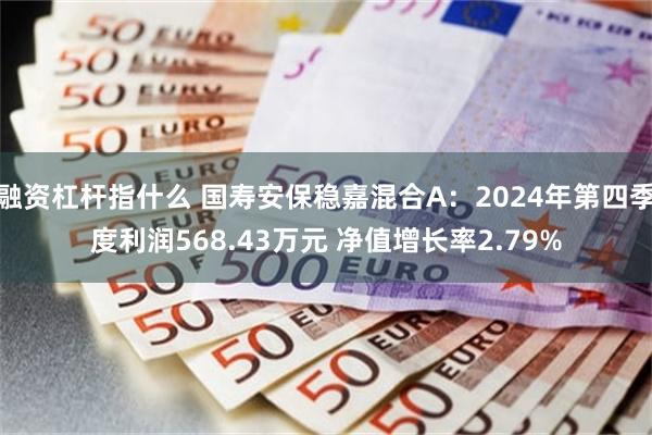 融资杠杆指什么 国寿安保稳嘉混合A：2024年第四季度利润568.43万元 净值增长率2.79%