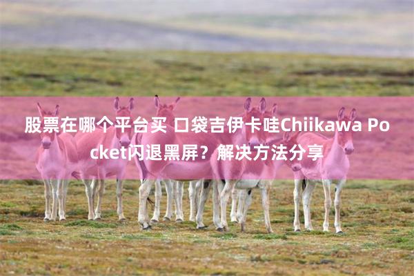 股票在哪个平台买 口袋吉伊卡哇Chiikawa Pocket闪退黑屏？解决方法分享