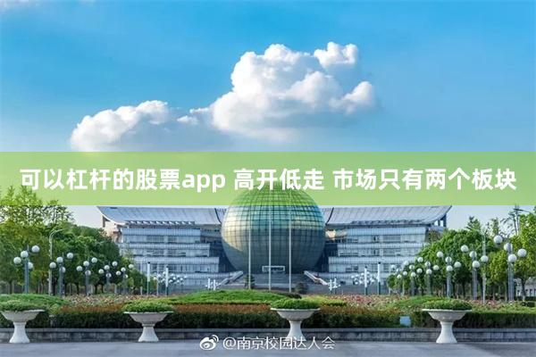 可以杠杆的股票app 高开低走 市场只有两个板块