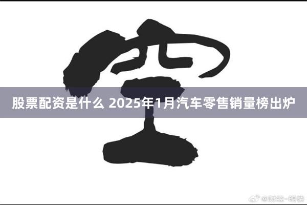 股票配资是什么 2025年1月汽车零售销量榜出炉