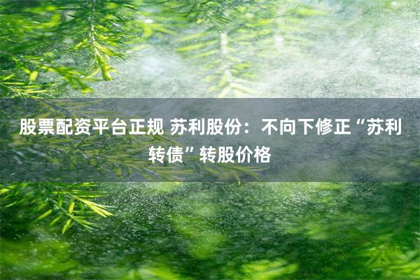 股票配资平台正规 苏利股份：不向下修正“苏利转债”转股价格