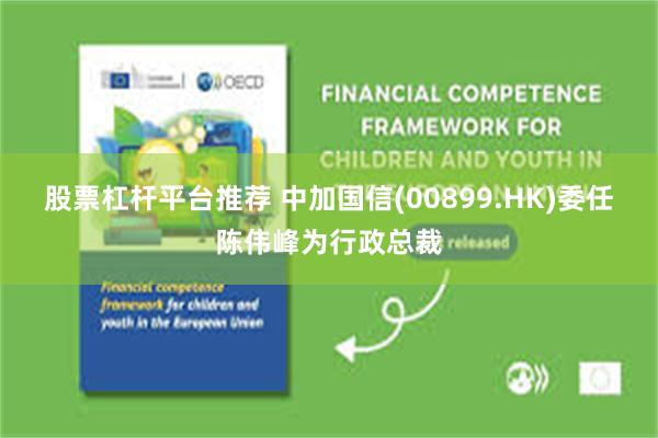 股票杠杆平台推荐 中加国信(00899.HK)委任陈伟峰为行政总裁